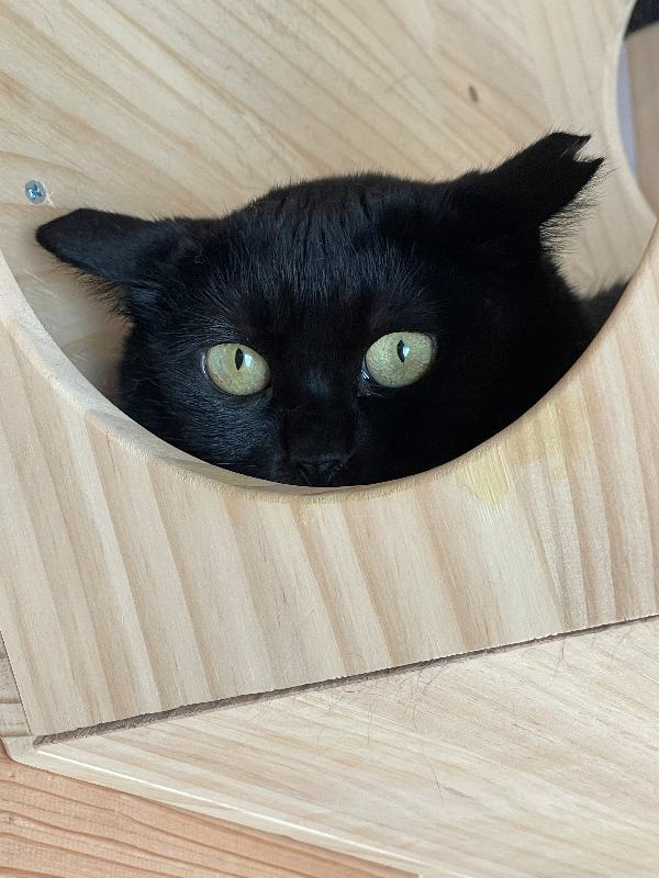 すず